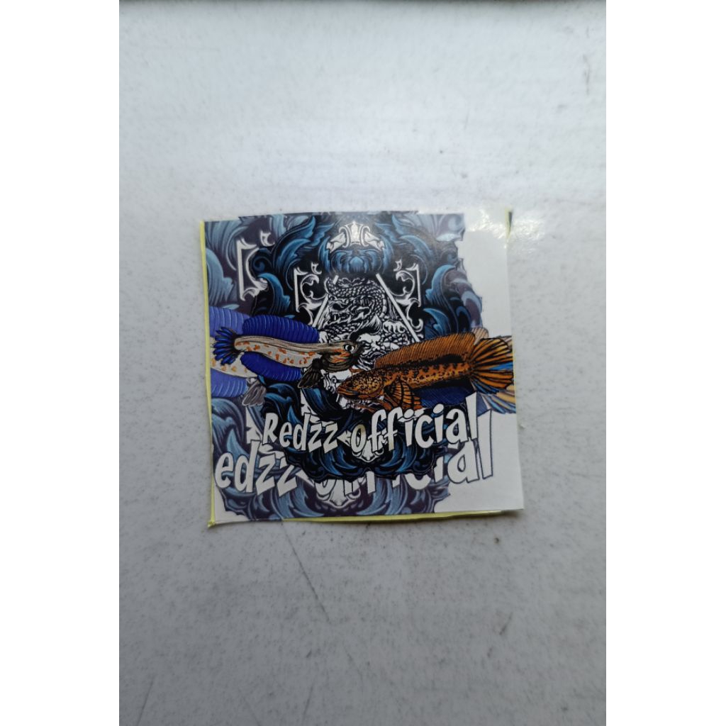 produk channa blue pulcra