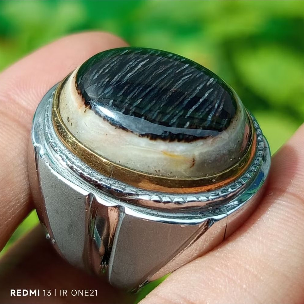 Cincin Batu Akik Fosil Kelor