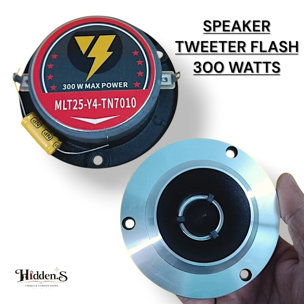 Speaker Tweeter FLASH 4 Inch 300 Watt