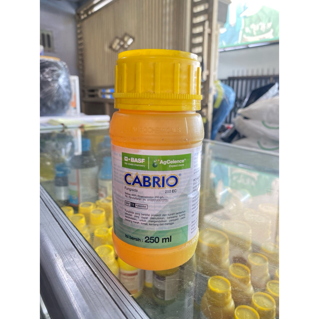 Fungisida Sistemik CABRIO 250EC 250ml