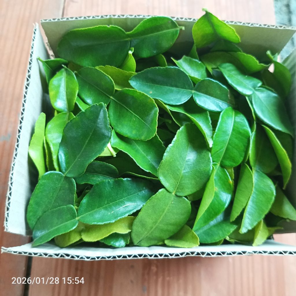 Daun Jeruk Purut Segar 1 KG