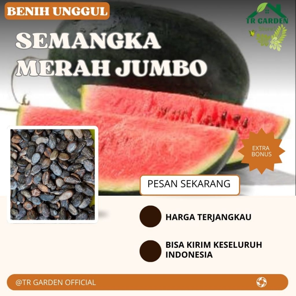 (10 biji) BIJI BENIH SEMANGKA INUL MERAH JUMBO UNGGUL | EXTRA BONUS