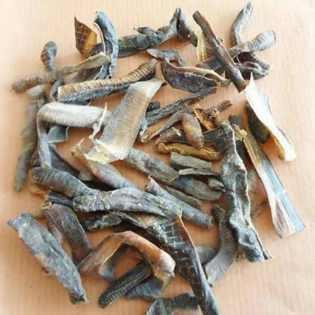 Cacing Tanah Kering Obat Tipes - Tipus dan Demam Paling Ampuh/ Lumbricus Rubellus 15gr