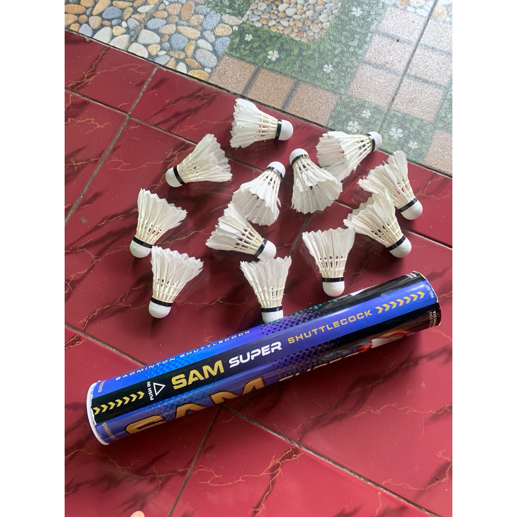 Shuttle Cock