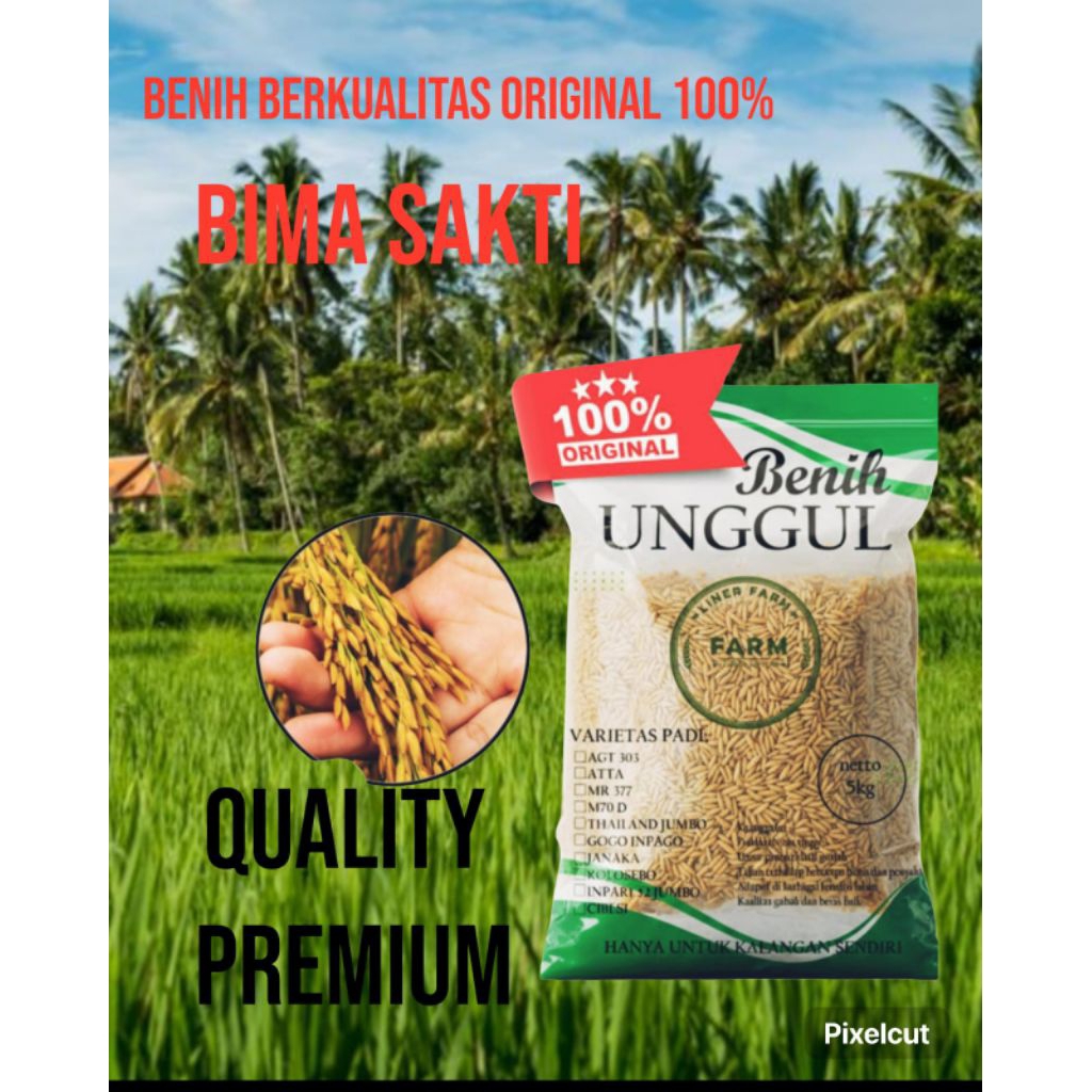 benih bibit padi bima sakti kemasan 5kg.