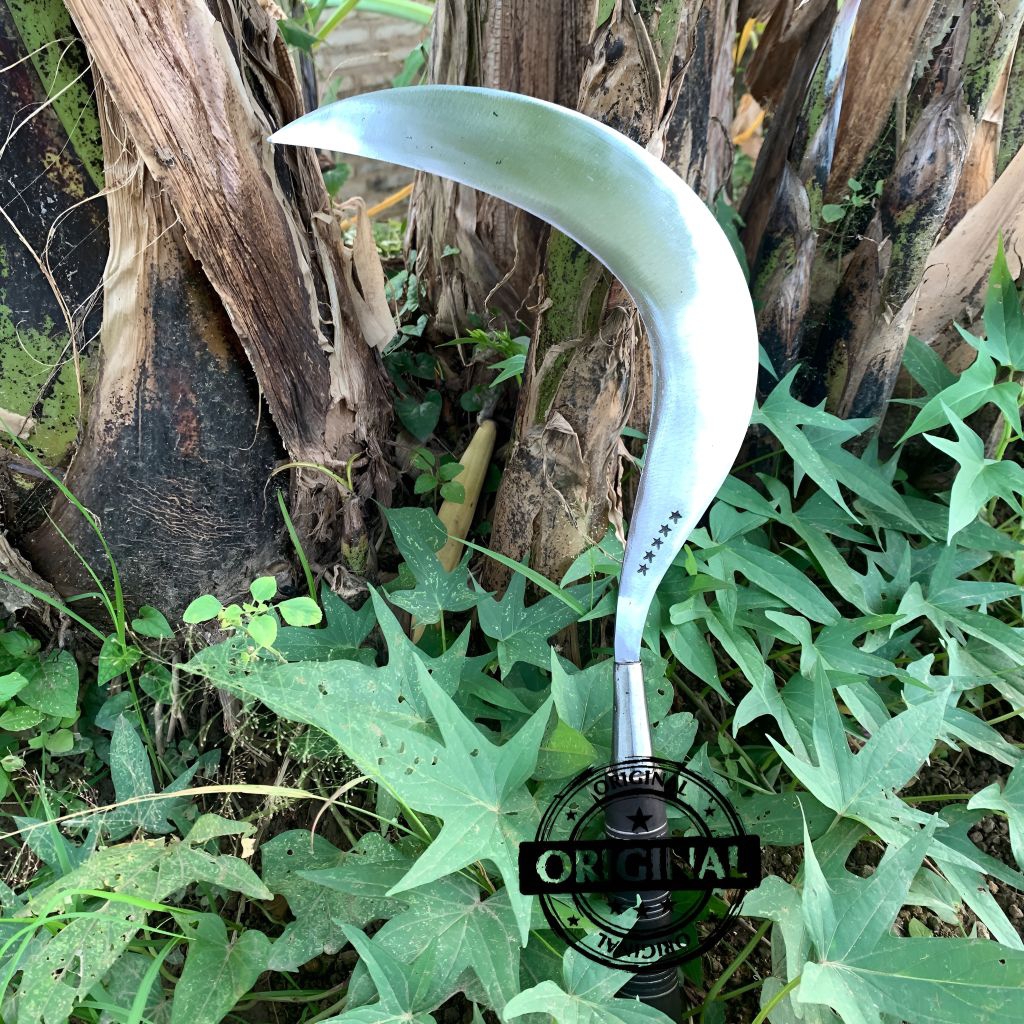 Alat pertanian tradisional aret rumput>sepuh tua MADURA