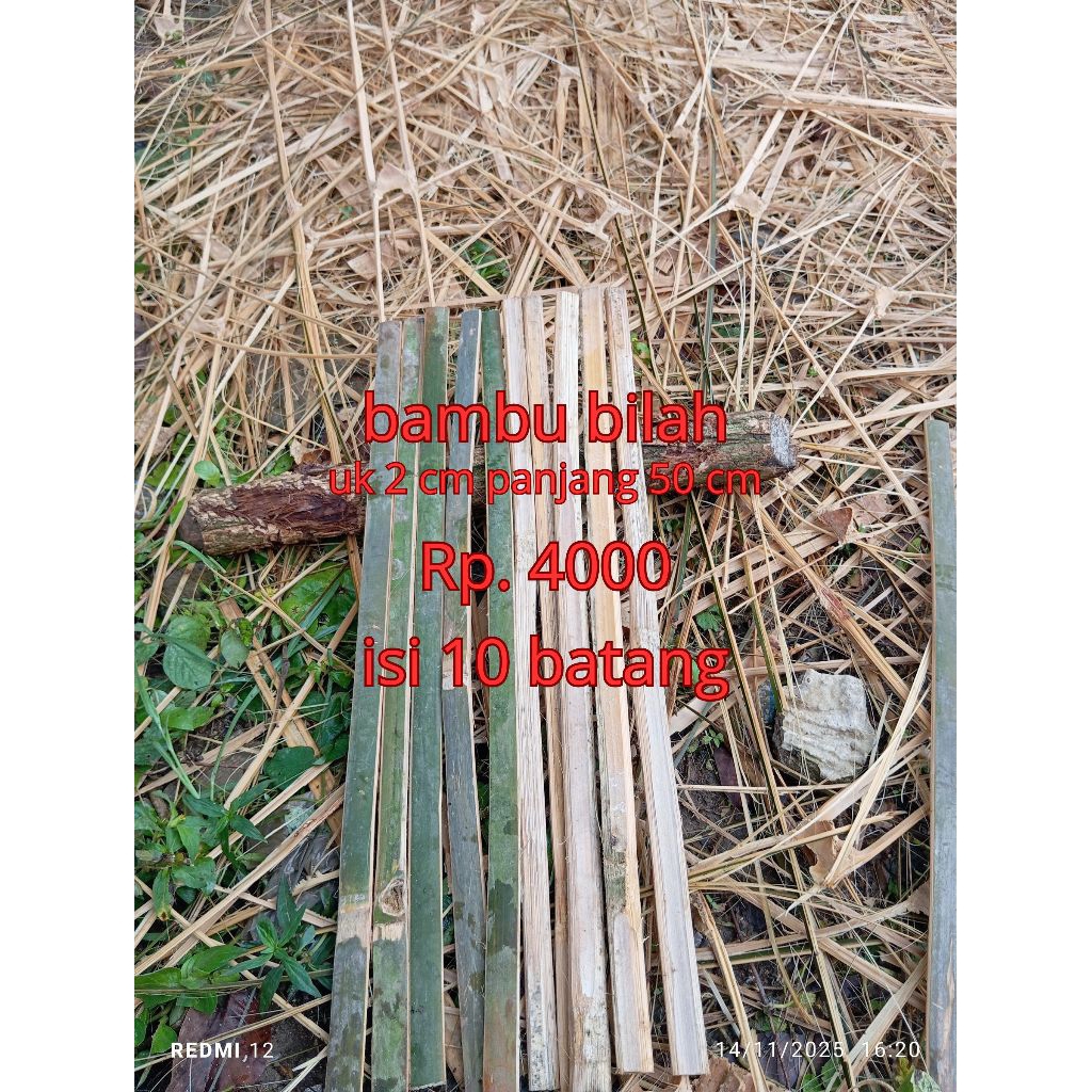bambu, bambu bilah, bambu belah, bambu ajir, bambu buat kandang, bambu buat pagar, bambu bilah 1 met
