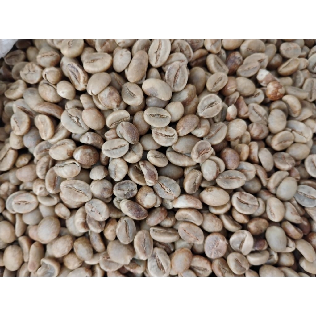 Kopi Robusta Grade 1 Green Bean 1kg