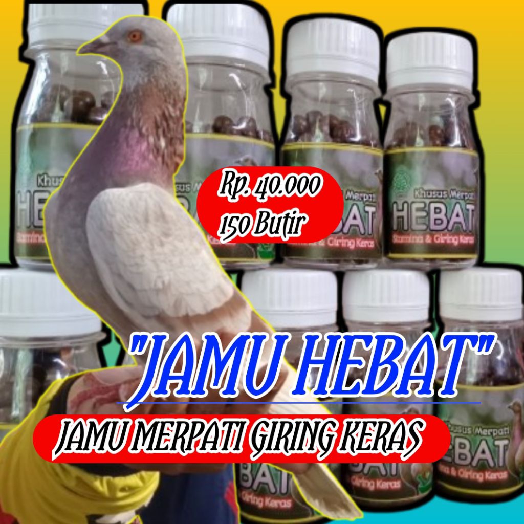 JAMU MERPATI GIRING KERAS "JAMU HEBAT"