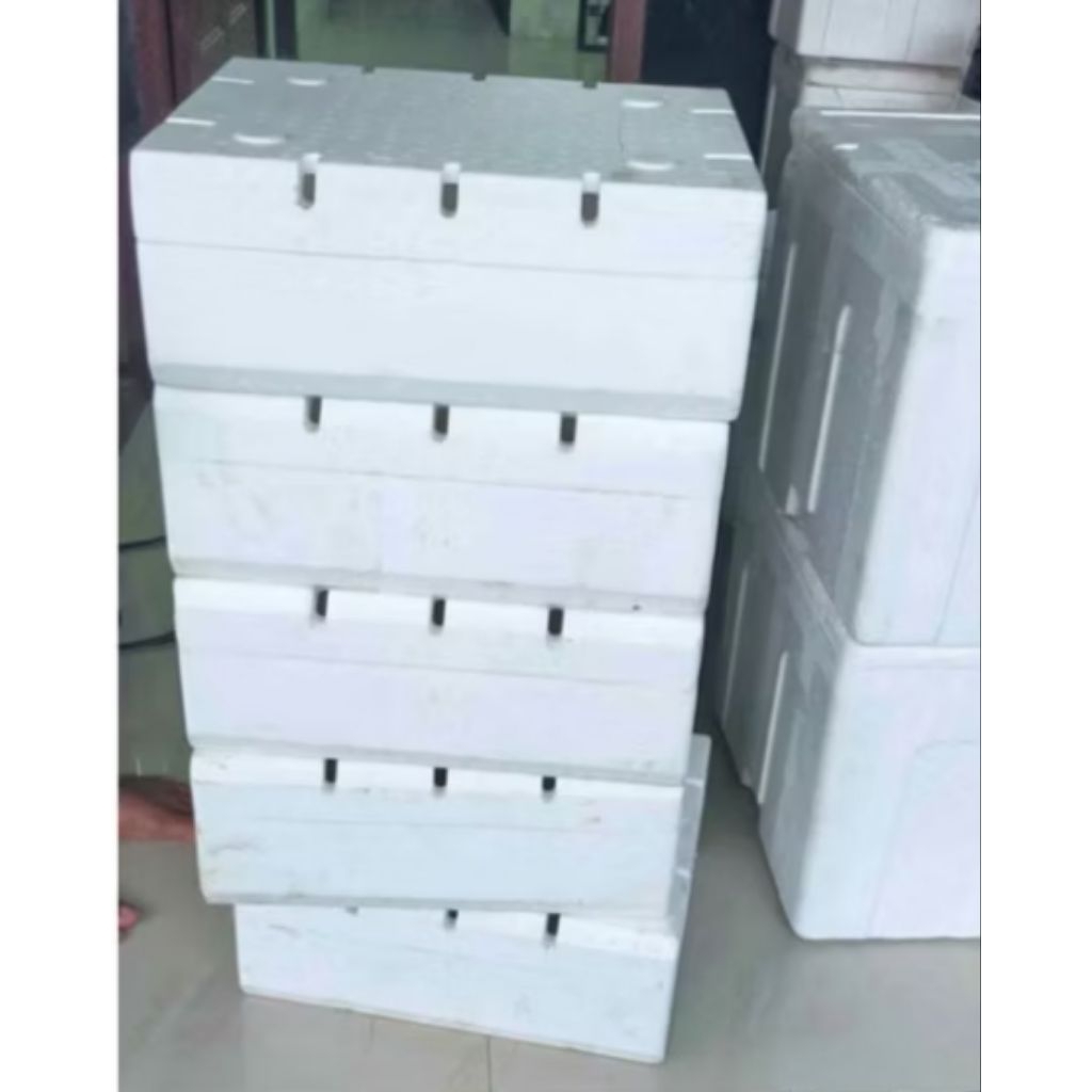 styrofoam box bekas buah anggur