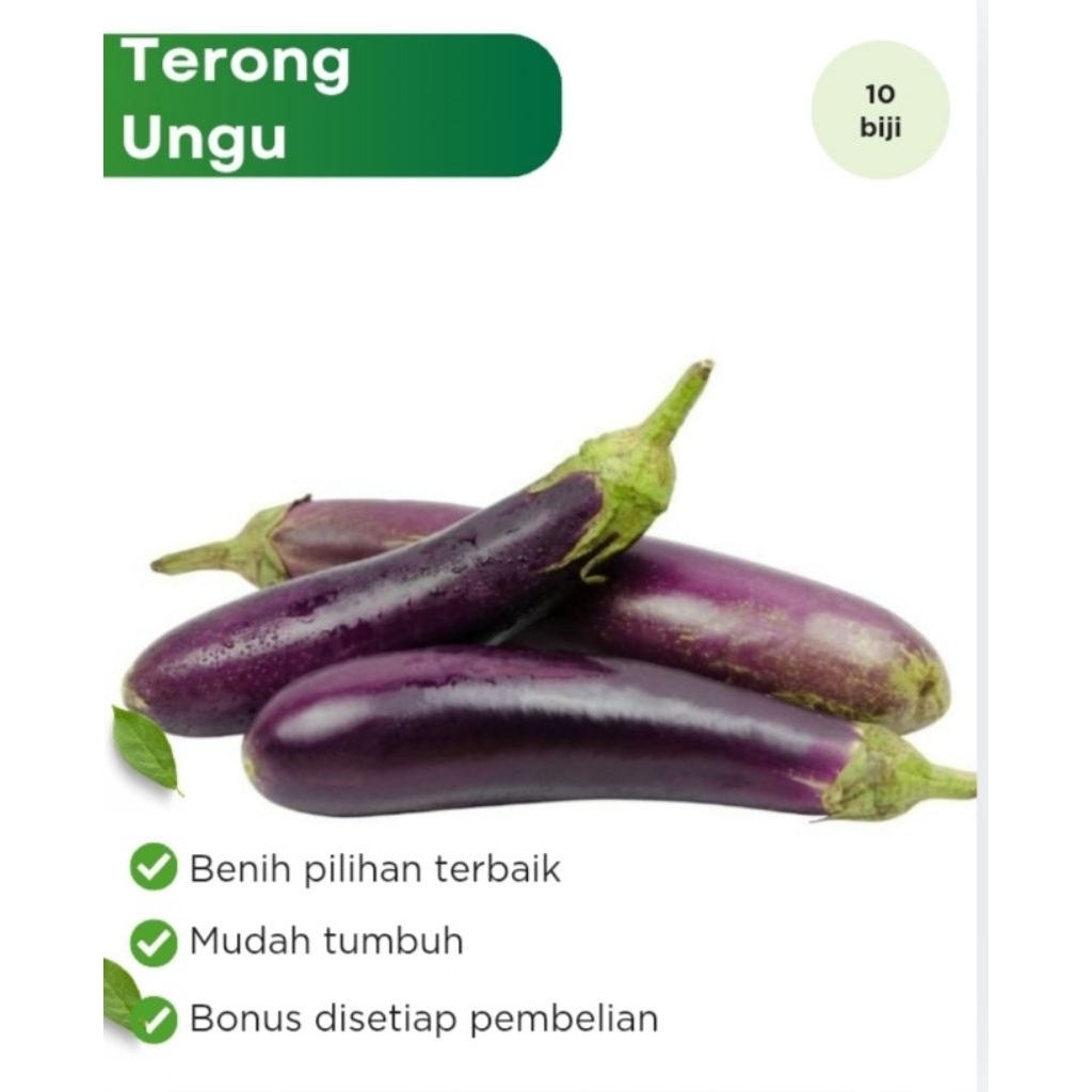 Benih Sayuran Terong Ungu Cap Panah Merah