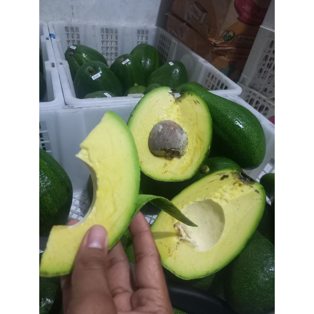 Alpukat Mentega, Alpukat jumbo Alpukat markus 1biji 1kg gr Manis pulen