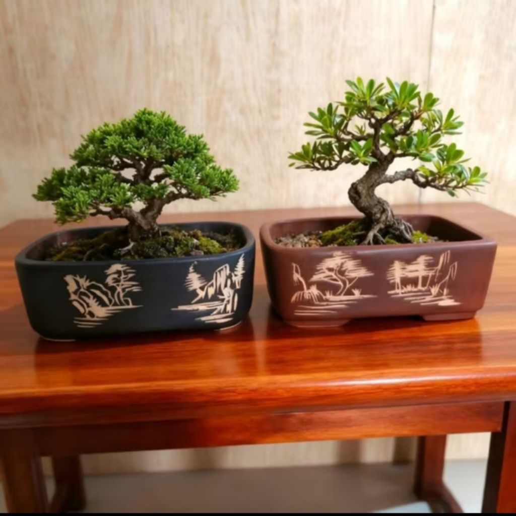 Pot Keramik Bonsai Kotak lukis Mame - Pot Keramik Kotak Pohon Bonsai Motif Lukis Kekinian
