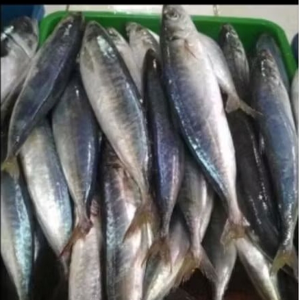 *sembako murah* Ikan layang fresh -pasar murah bekasi