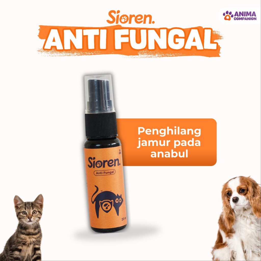 Sioren | Anti fungal | Obat jamur anti fungal dan scabies | Antiseptik, Alami & Cepat Sembuh