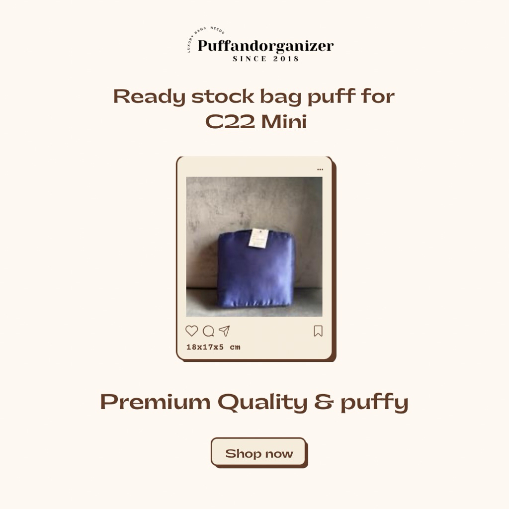 Bag Puff for c22 Mini /Bag Pillow PuffSquad
