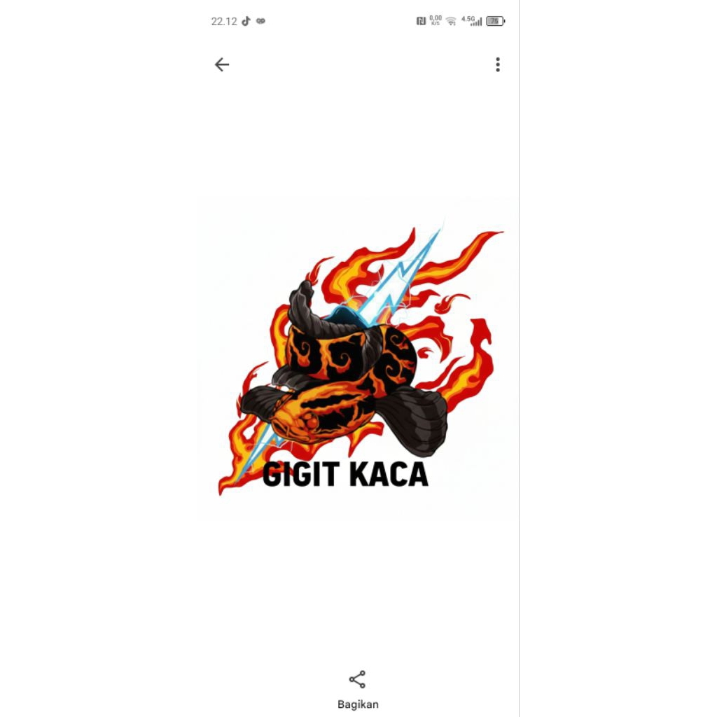 Kaca chana ys 15-17cm