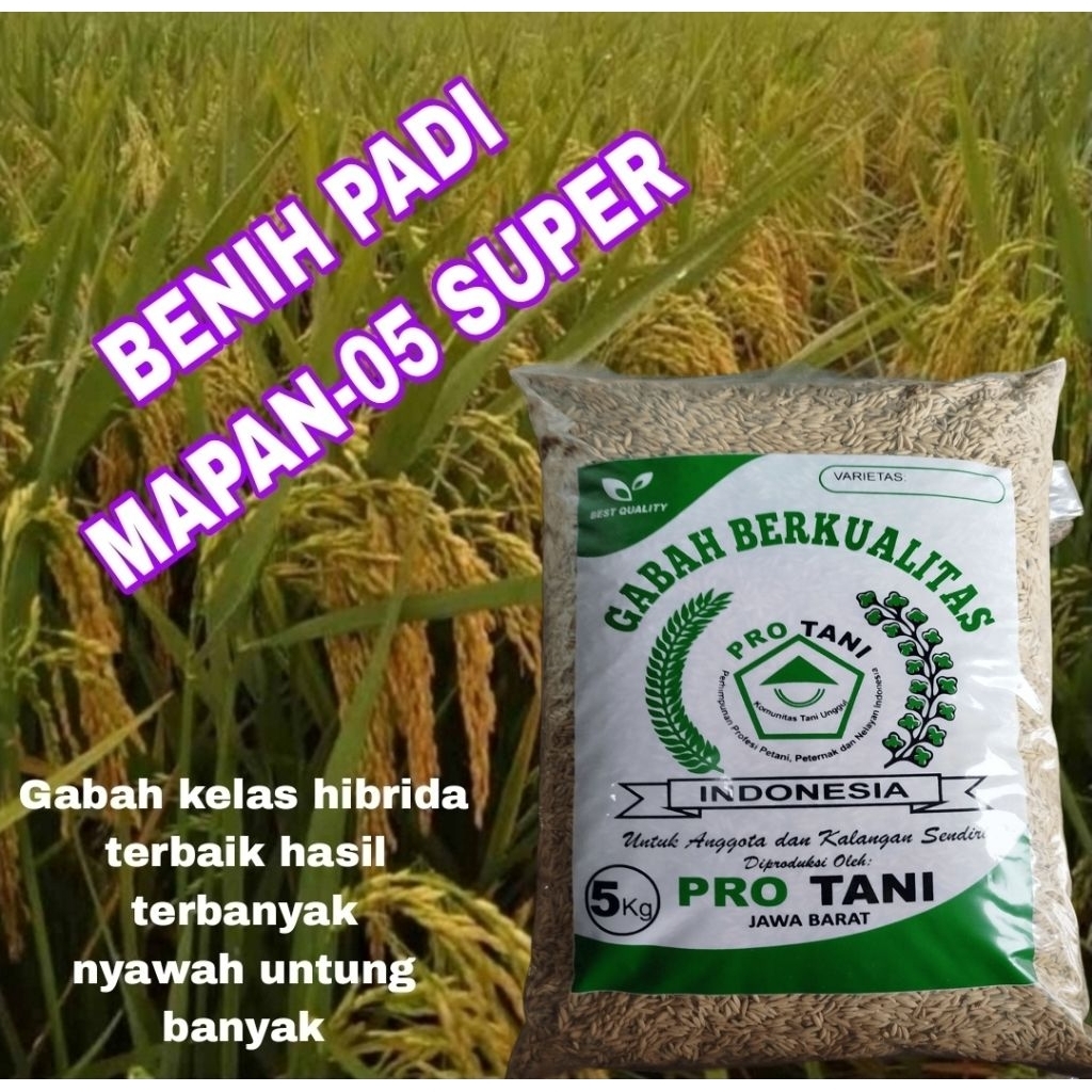 5KG BENIH PADI MAPAN-P05 ORIGINAL LABEL PUTIH BENIH SUPER