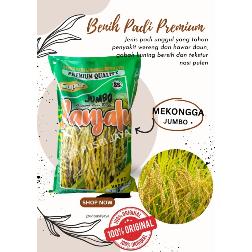 BENIH PADI MEKONGGA PANJALU JUMBO PREMIUM kemasan 5kg