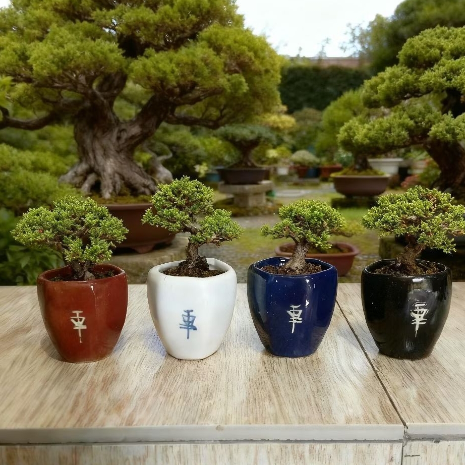1Pcs Pot Keramik Bonsai cascade Premium Pot Keramik tanaman Hias Pot Pohon bonsai