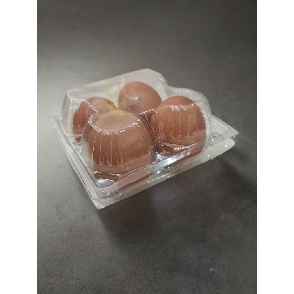 SR GROSIR Tray Mika ISI 4 | Egg Tray Mika | Mika Tray Telur Ada Pengunci | Mika Telur Tebal Aman