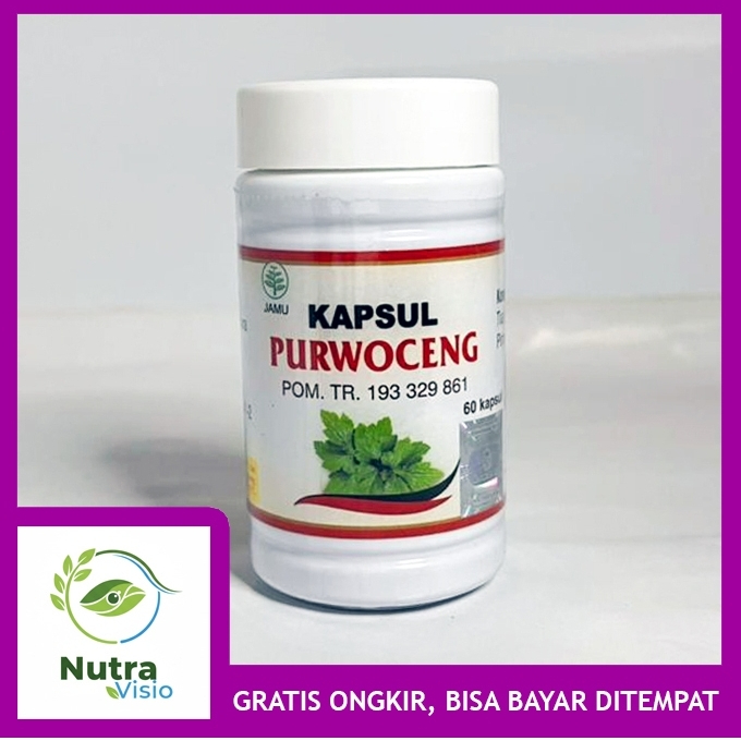 Kapsul Purwoceng Obat Herbal Untuk Stamina Keperkasaan Pria Dewasa Asli Original