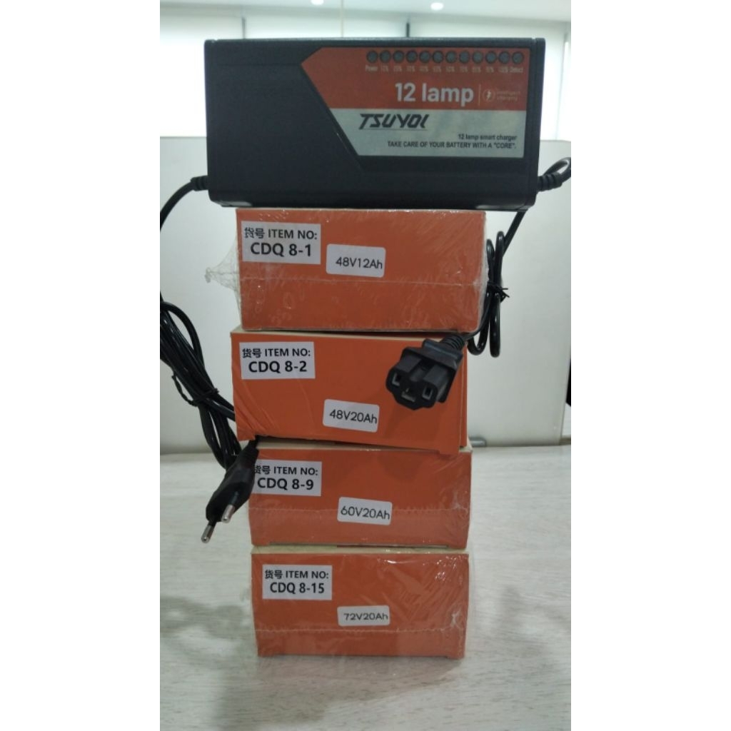 Charger motor listrik