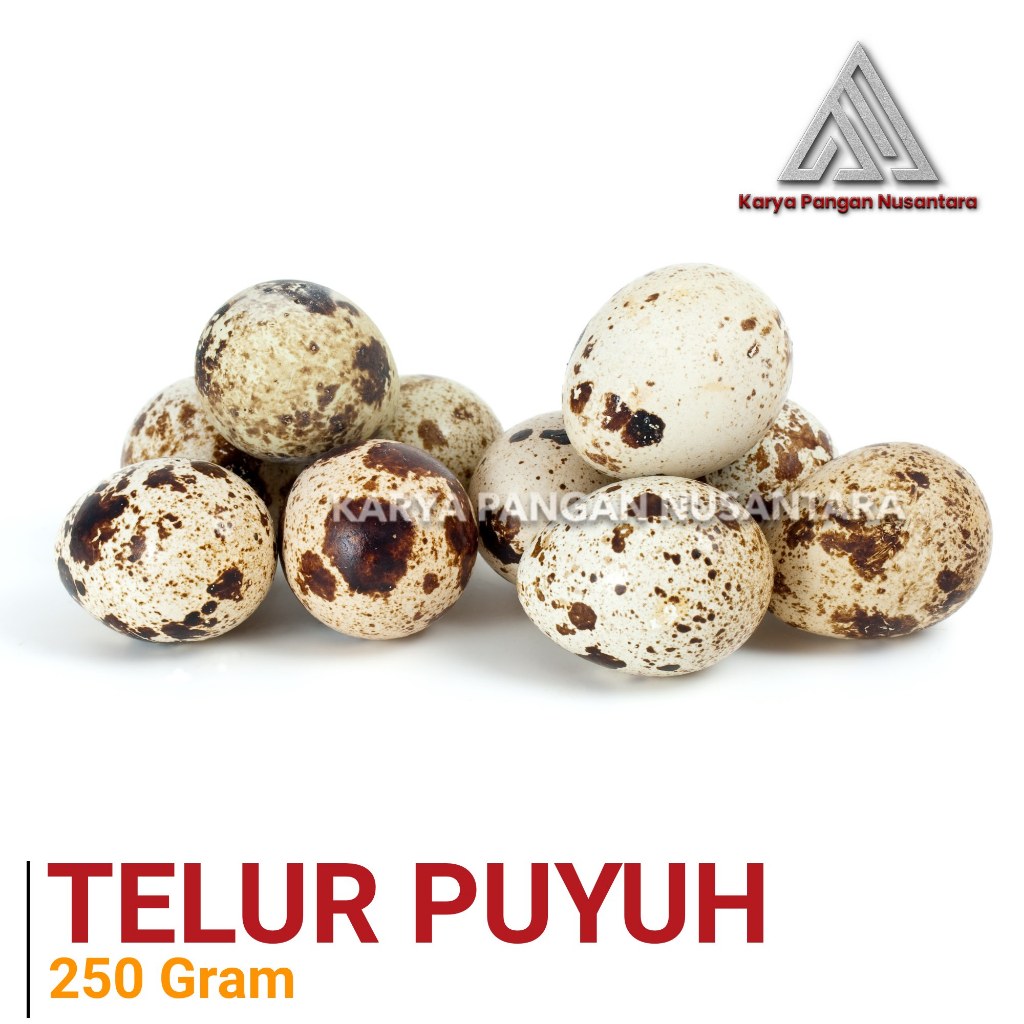 TELUR PUYUH SEGAR TELUR BURUNG PUYUH 250 GRAM