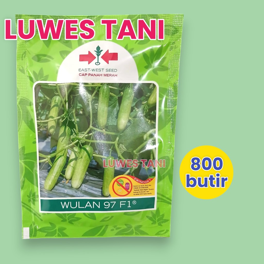 Benih timun wulan 97 f1 800 butir