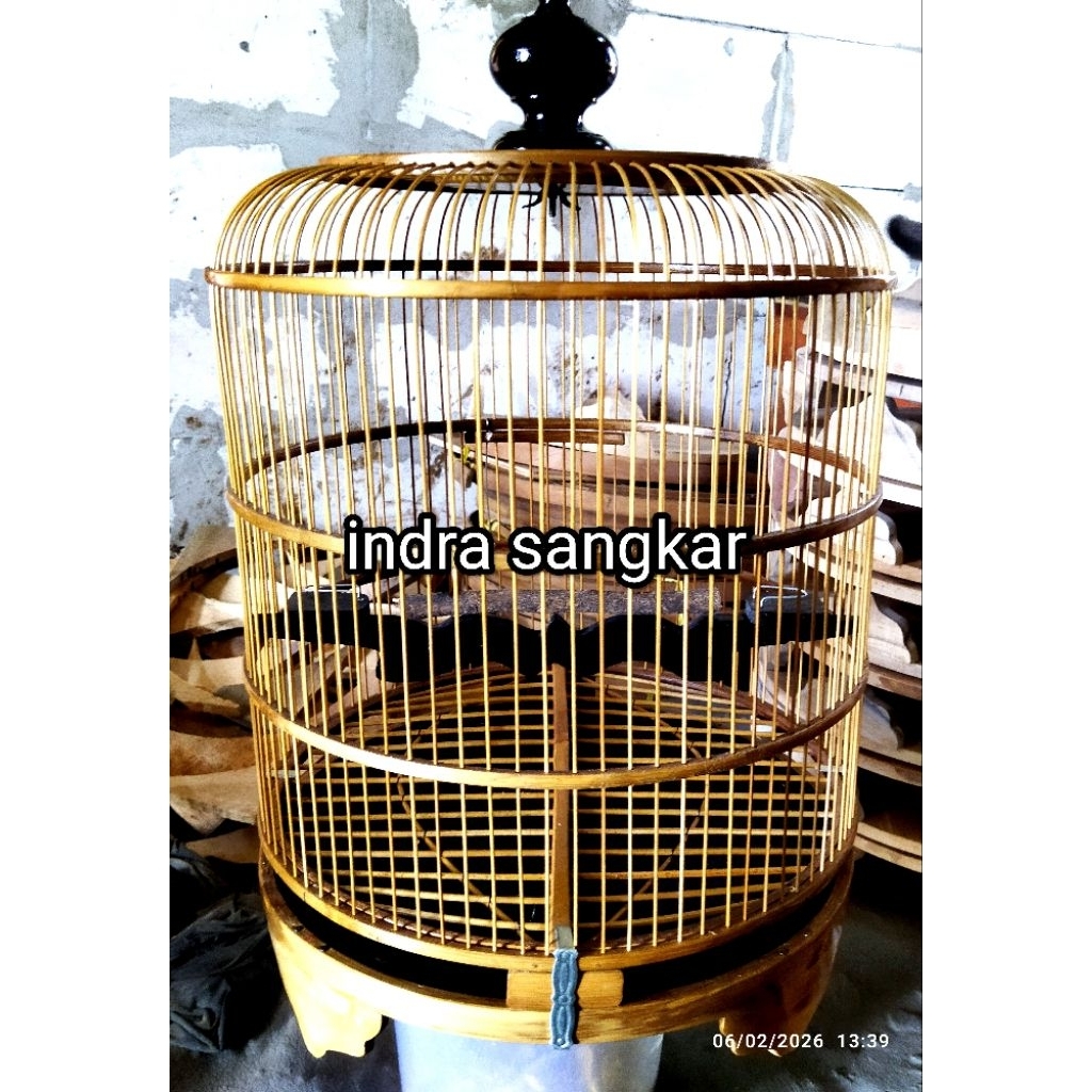 sangkar burung perkutut. tebok lepas