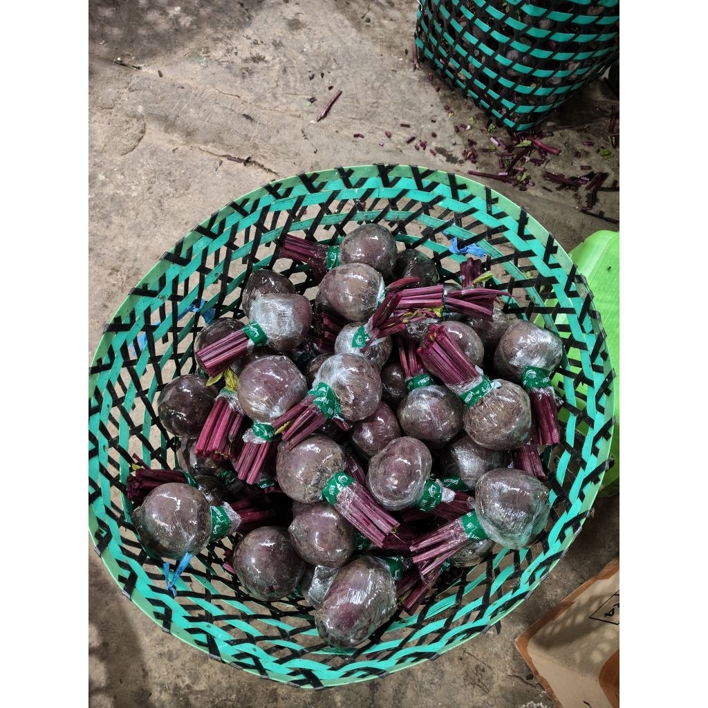 Buah bit 1kg