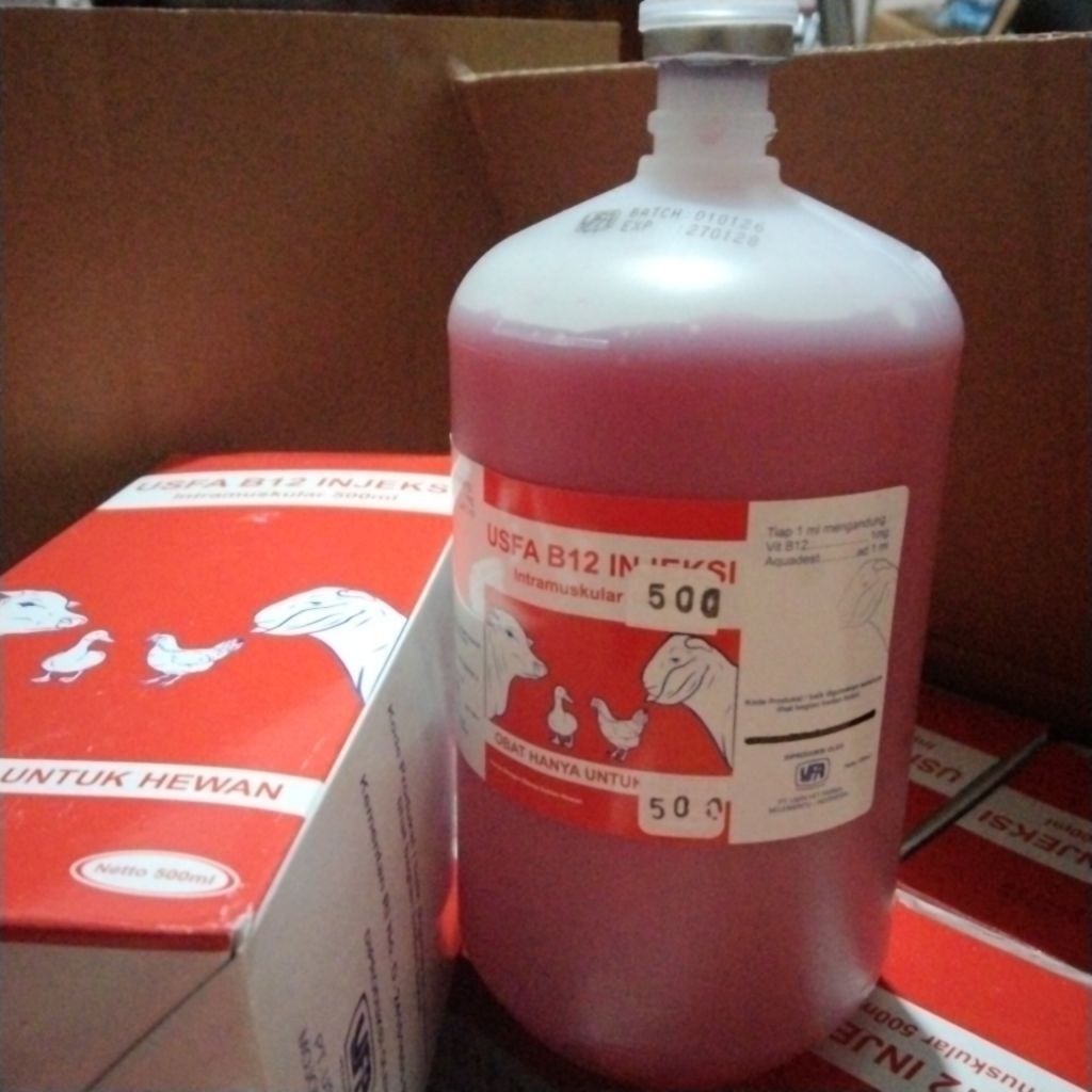 b12 usfa 500ml (vitamin hewan)