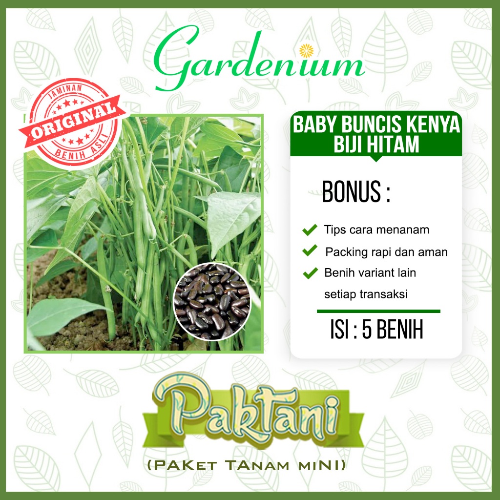 5 Benih Baby Buncis Kenya Biji Hitam Buncis Perdu Non Rambat Tanaman Sayur Paktani