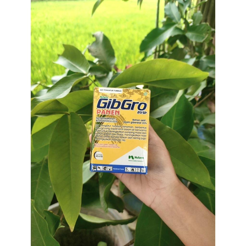 Gibgro Panen 20SP 1 g ZPT