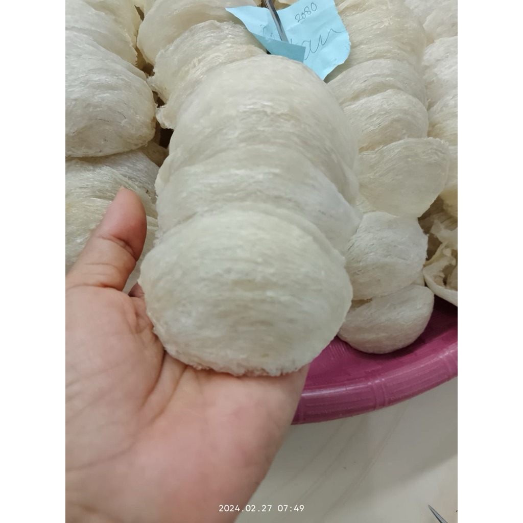 sarang burung walet mangkok