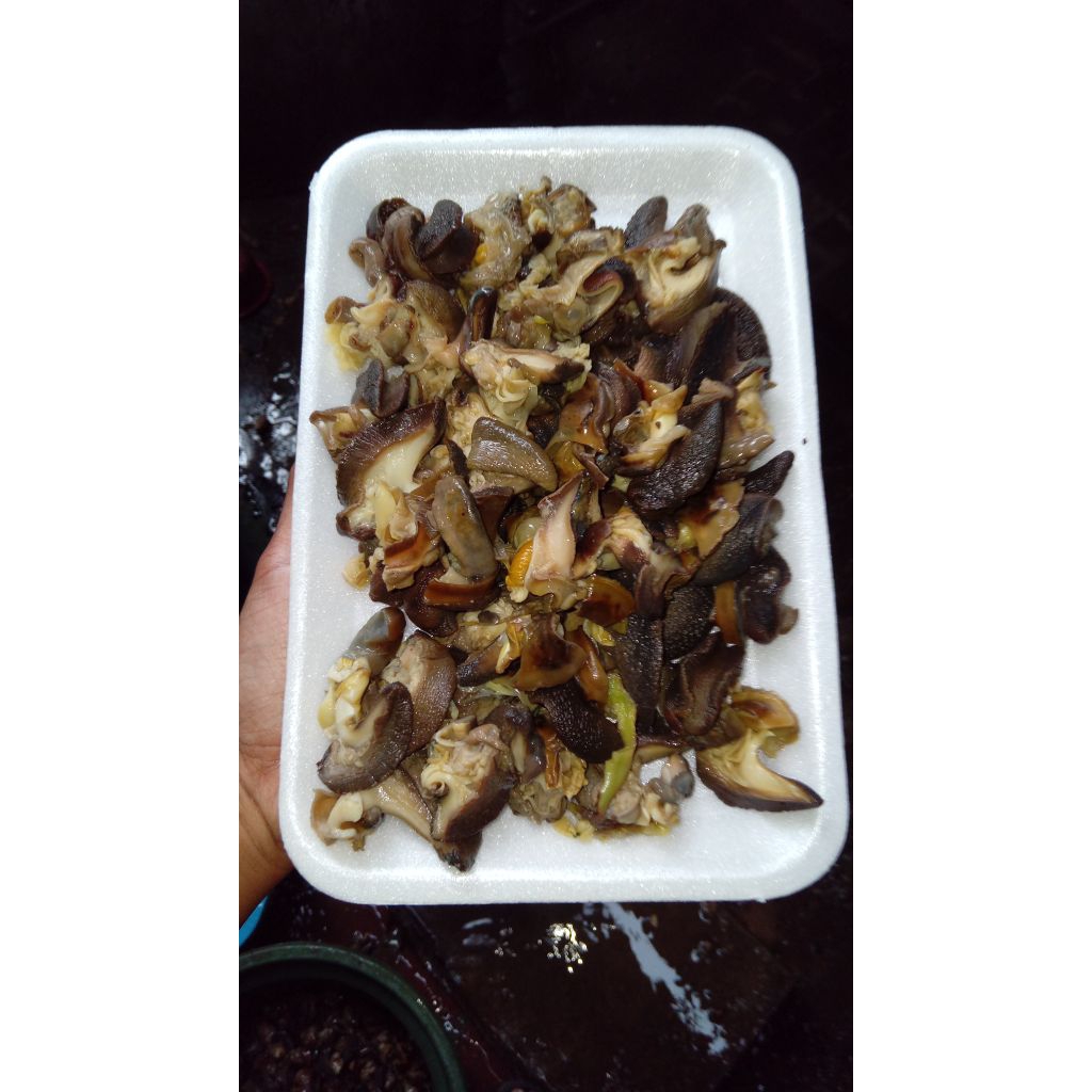 Daging Bekicot 1kg Rebus