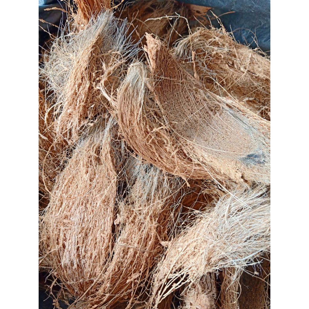 Sabut kelapa kering serat sabut kelapa murah 100gr