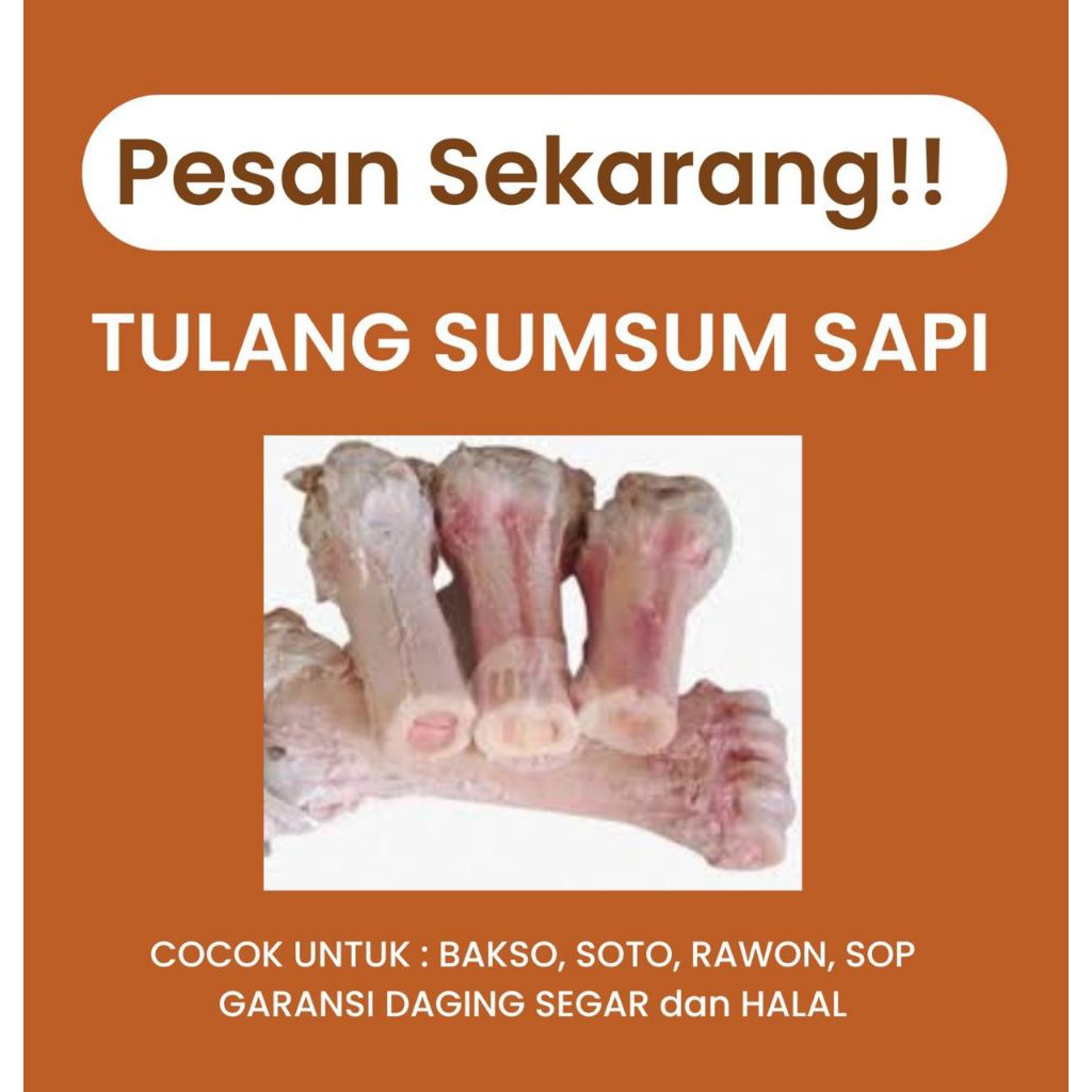 TULANG SUMSUM SAPI SEGAR DAN HALAL