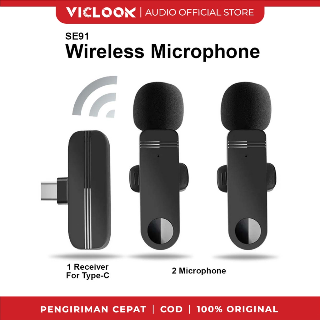 2 Mikrofon Type-C
