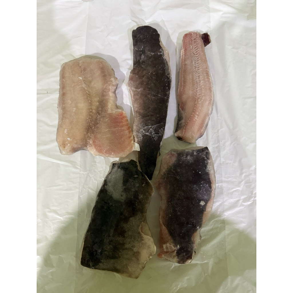 Harga Lele Fillet 1KG Terbaru Jul 2026 | BigGo Indonesia