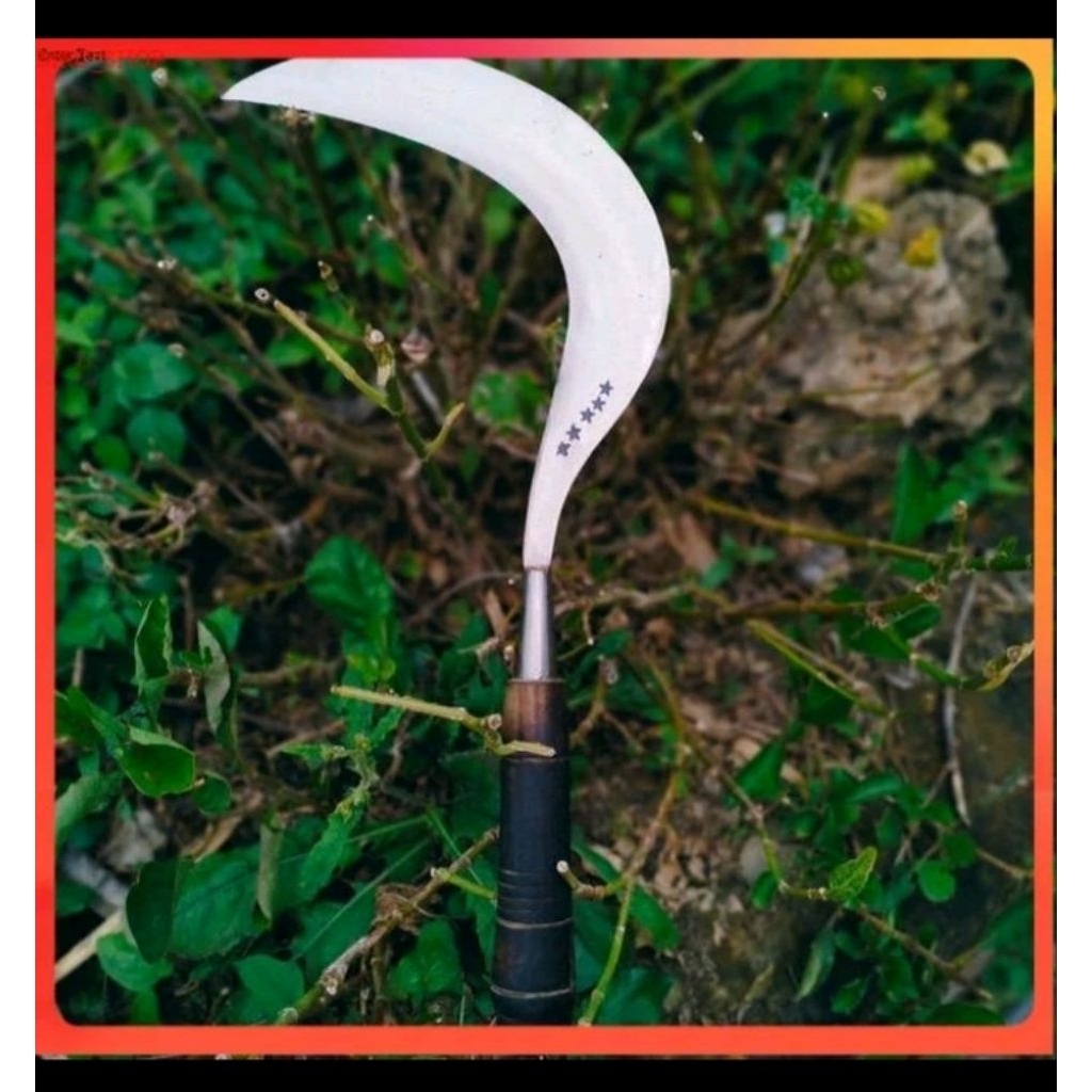 sabit rumput multifungsi khas pande madura