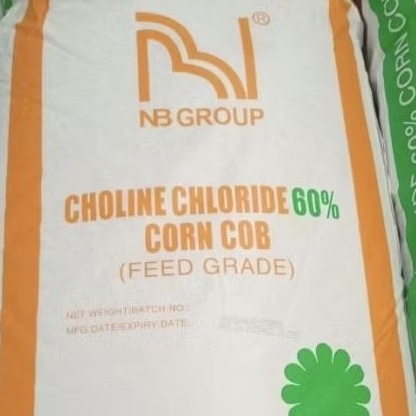 Choline Chloride 25 kg Ternak