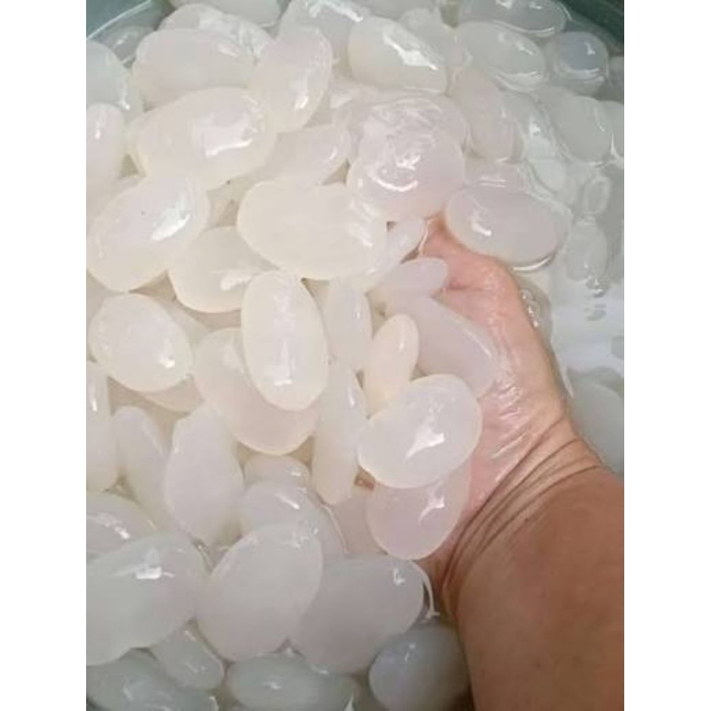 Kolang Kaling segar 1kg kolang Kaling segar /Kolang kaling segar kolang kaling super