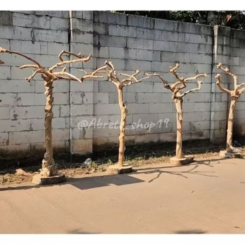Tangkringan burung dari pohon kayu kopi bercabang