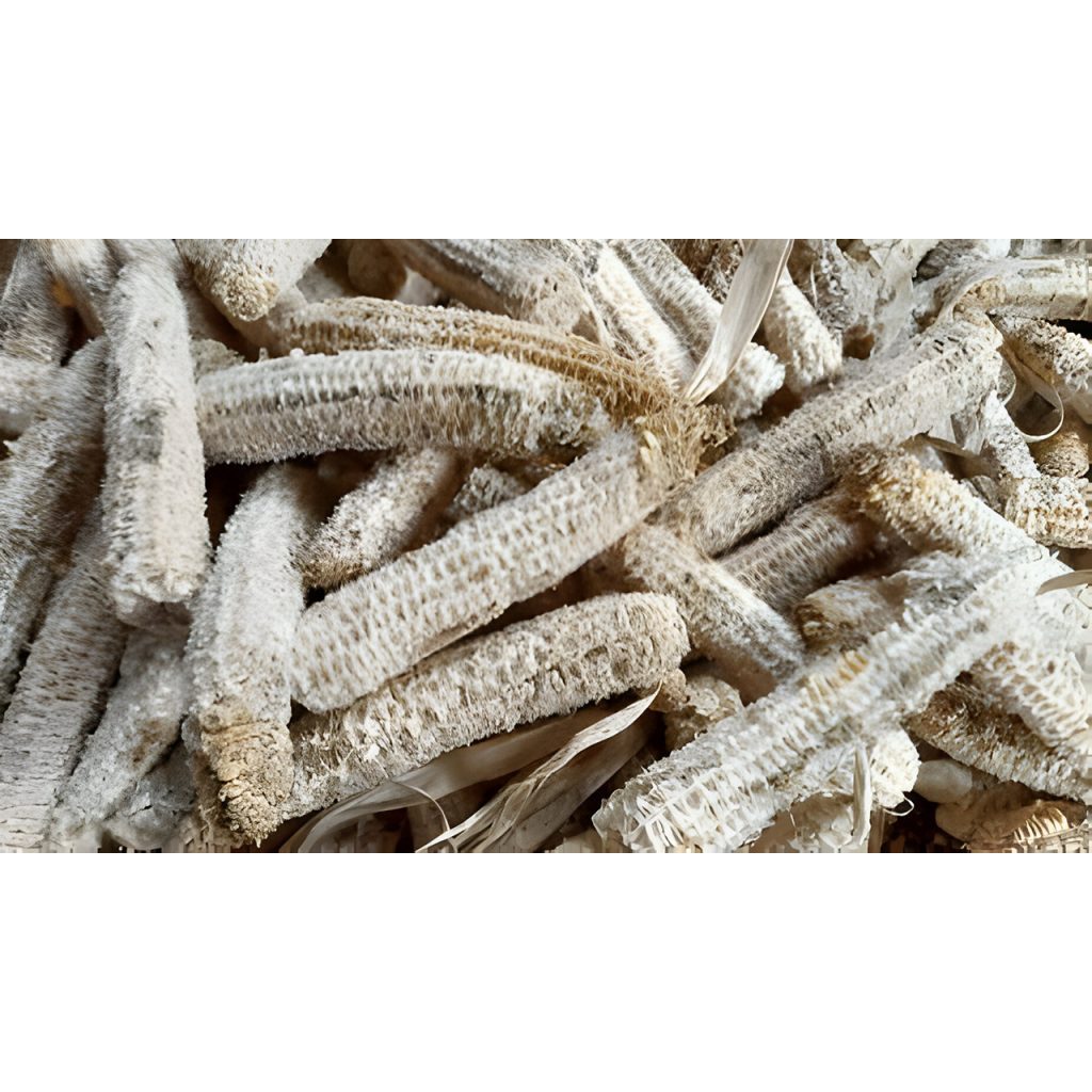 TERMURAH... PUSAT TONGKOL/BONGGOL JAGUNG.MANTAP  / BONGGOL JAGUNG KERING UNTUK KERAJINAN TANGAN