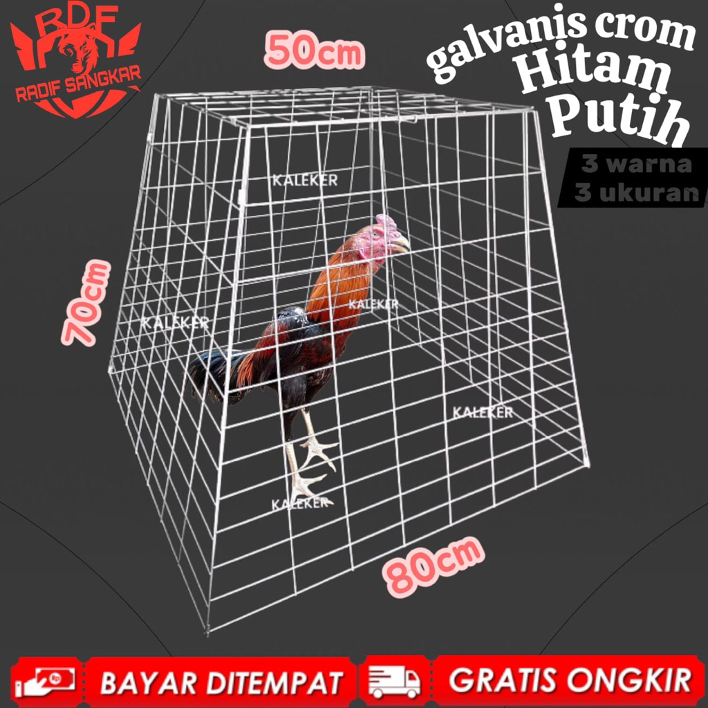 Kandang piramida lipat kandang jemur ayam bangkok