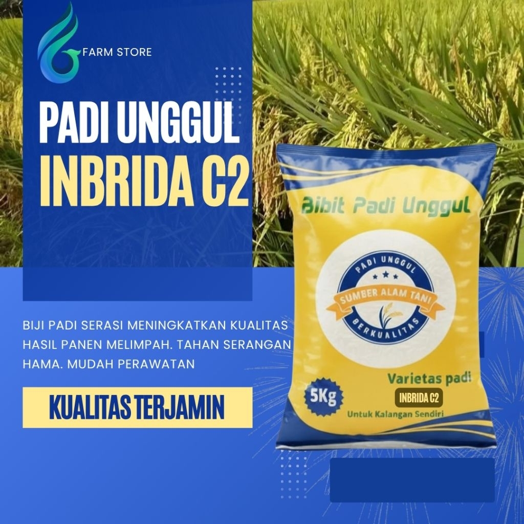 Benih Padi INBRIDA C2 kemasan 5kg