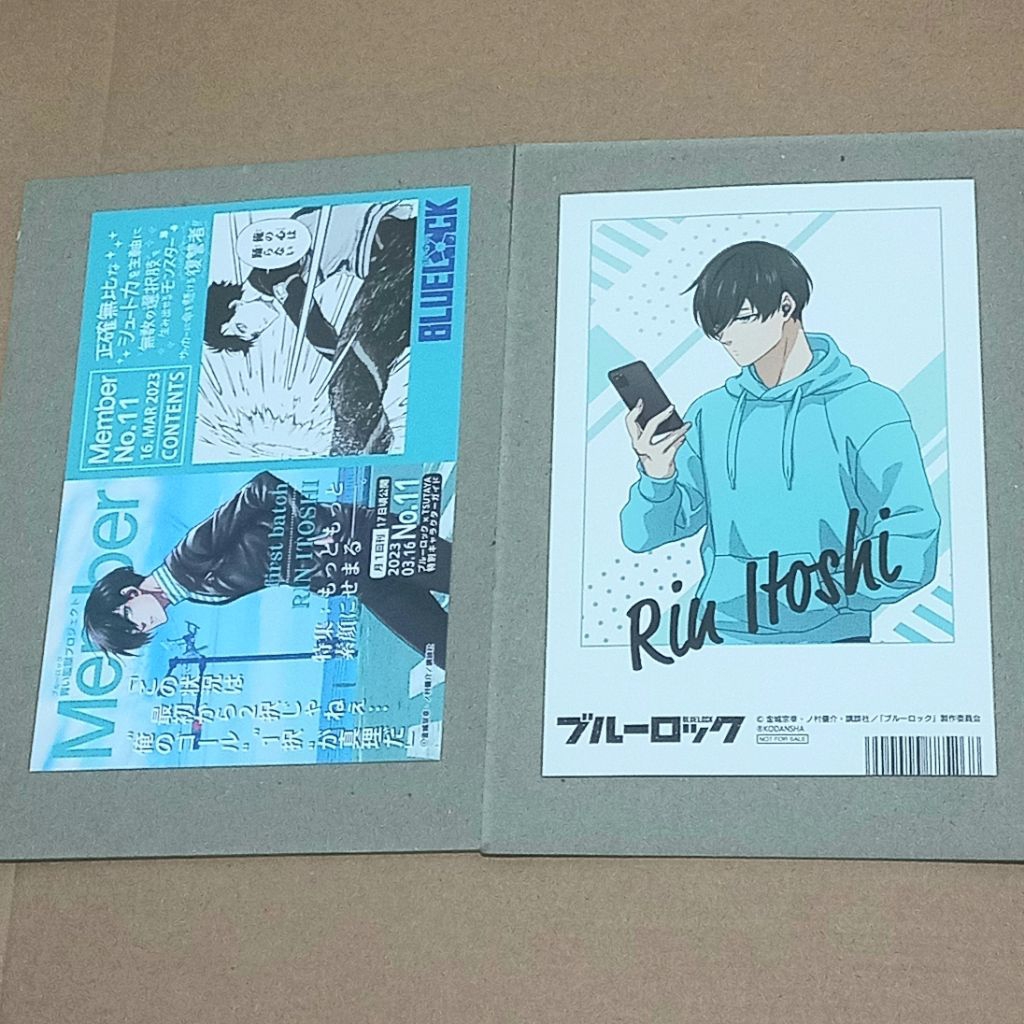 Itoshi Rin Plush Official Blue Lock - Rin Blue Lock plushie - Blue Lock Official Merchandise - Ice T