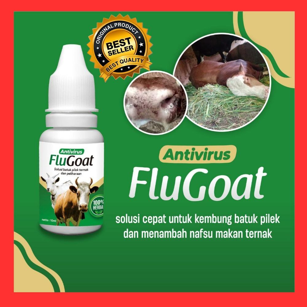 PALING DICARI  Obat Flu Ayam Herbal, Obat Flu Ayam Kate