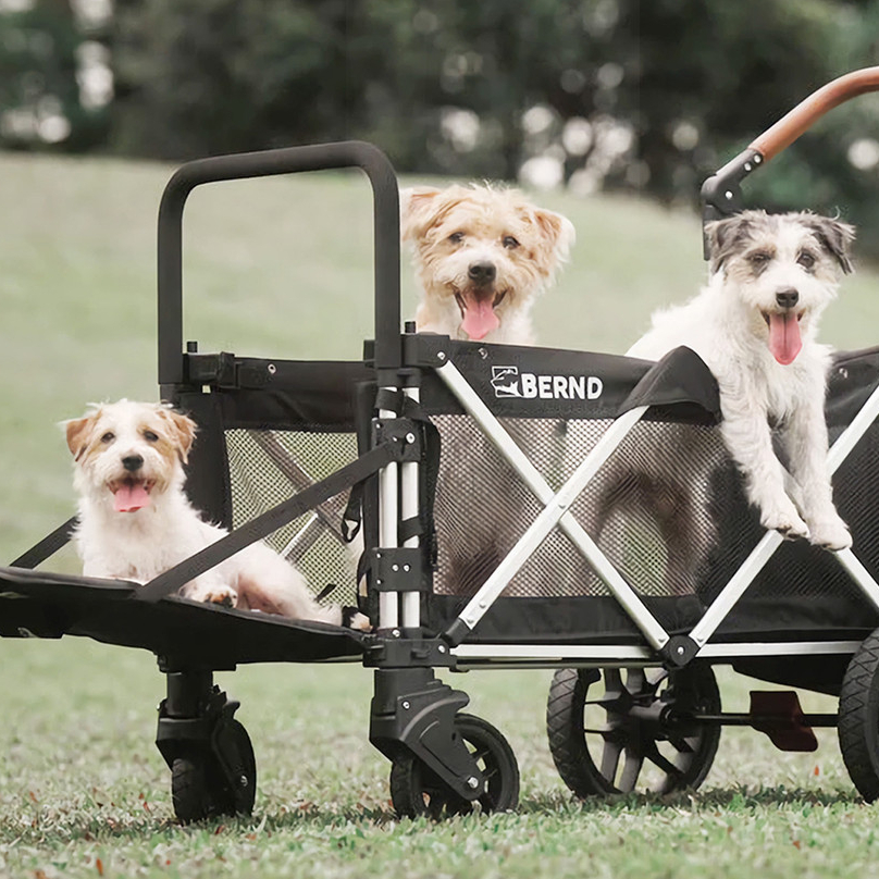 Bernd Bloom Pet Mini Stroller | Stroller Hewan